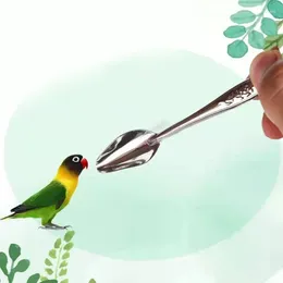 Other Bird Supplies Parrot Stainless Steel Feeding Spoon Durable Metal Feed For Small