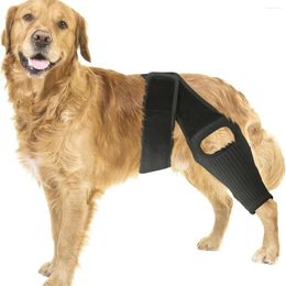 Dog Apparel Adjustable Large Knee Brace For Support And Recovery From Cruciate Ligament Injury Joint Pain Muscle Soreness