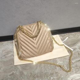 Evening Bags Top Quality Senior Designer Luxury Outgoing Metal Chain Handbag 2024 Classic Ladies Shoulder Bag Fashion