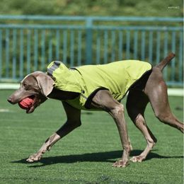 Dog Apparel Pet Clothing Reflective Raincoat Large Medium And Small Two-legged Hooded Waterproof Clothes