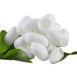 Puff 100PCS Beauty Silk Face Wash Ball Removing Blackheads Exfoliating Natural Cocoons Facial Cleansing Puff