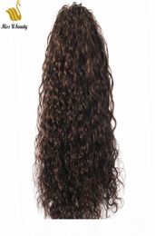 Dark Brown 2 Colour Curly Hair Extensions Ponytail Remy Human Hair Drawstring Ponytail with Clips 1030inch Wavy Loose Curly Hair2741754