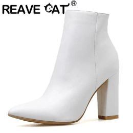 Boots REAVE CAT Fashion Women Boots Mid Calf Pointed Toe Block Heels Stripe Big Size 3542 Mixed Zipper Spring Sexy Party Shoes S4157