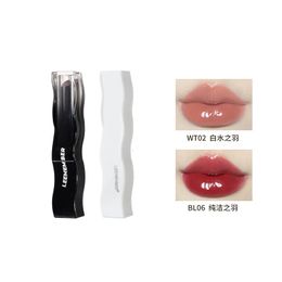 LEEMEMBER Black Feather Series Lipstick Moisturising Solid Lip Gloss 240311