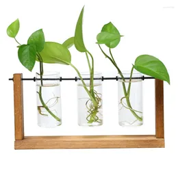 Vases Terrarium Hydroponic Plant Transparent Vase Wooden Frame Decorations Glass Tabletop Bonsai Decor Flower