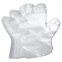 Disposable Gloves 2000Pcs Food Preparation Transparent (0.7G / Pc)