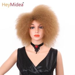 Wigs Afro Kinky Curly Wig for Black Women 6inch Short Curly Wigs Synthetic Wigs Heat Resistant African Curly Full Wigs HeyMidea