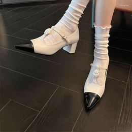 Dress Shoes Pointed Toe Colour Block Elegant Pumps Thick Heel Flower Thin Belt Buckle Large Size Mary Jane Soft Leather High Women