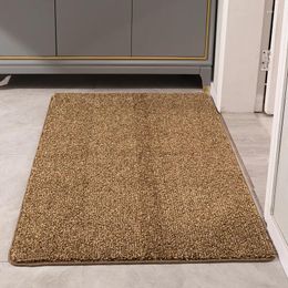 Carpets 2024 Simple Wear-Resistant Stain-Resistant Entry Door Floor Mat Household Doorway Entrance Non-Slip Carpet