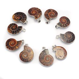 Natural Stone Chrysanthemum Fossil Pendant Silver Plated Bail Men and Women Fashion Jewelry Popular Minimalist Style202A