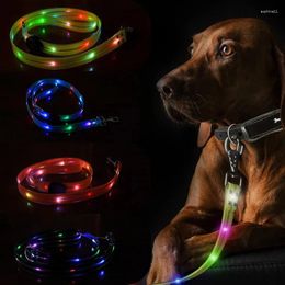 Dog Collars Multicolor Coated Rubber Pet Leash Outdoor Cat And LED Illuminated USB Charging Fluorescent