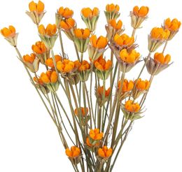 2 datorer torkade blommor bukett konstgjorda blommor bulk naturliga pistascha orange torkade blommor arrangemang