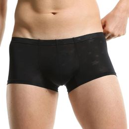 Underpants Sexy Men Summer Ice Silk Transparent Soft Underwear Shorts Boxers Briefs Panties Single-layer Front Mens