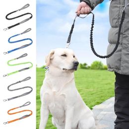 Dog Collars Reflective Harness Leash For Night Walking Adjustable Lead Large Dogs