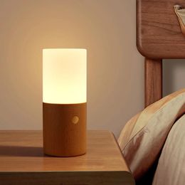 Night Lights Light Touch Table Lamp With Frosted Lampshade 3000K Colour Temperature USB Charging Cable LED For Bedroom Living Room