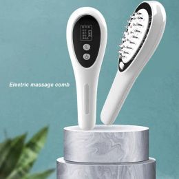 Treatments Electric Hair Growth Comb Scalp Applicator EMS Scalp Care Instrument Vibration Colour Light Hair Care Massage Comb