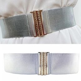 Belts Silver Colour Women Underbust Corset Female Wide Waist Belt For Banquets Dress