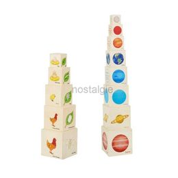 Sorting Nesting Stacking toys Y55B Childrens Block Wooden Box 24323