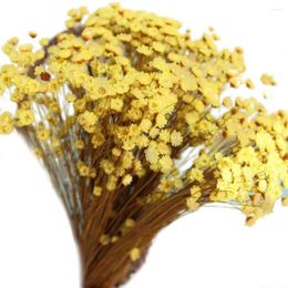 Decorative Flowers Mini Daisy Natural Floral For Decoration Small Star Flower Dried