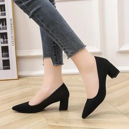 Dress Shoes Spring And Autumn 2024 Simple Banquet Black Women's Square Heel Sexy Temperament Versatile Single Women