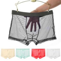 Underpants Transparent Boxers For Men Breathable Elastic Mesh Low Waist Ice Silk Cooling Anti-septic See-through Panties Underwear