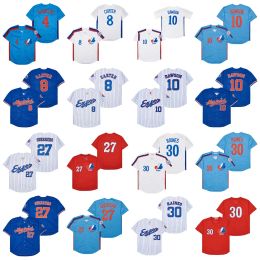 Montreal Expos Andre Dawson Baseball Jerseys Delino Deshields Gary Carter Tom Brady Pete Rose Vladimir Guerrero Tim Raines Larry Walker