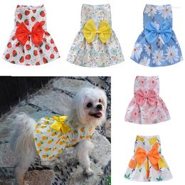 Dog Apparel Cute Summer Dress Skirt Pet Clothing Chihuahua Pomeranian Shih Tzu Maltese Poodle Bichon Puppy Small Clothes