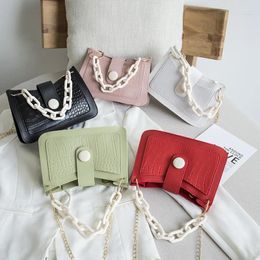 Bag Female Plastic Chain Single Shoulder Messenger Coin Purse Handbags Women Bags Drop Tote For