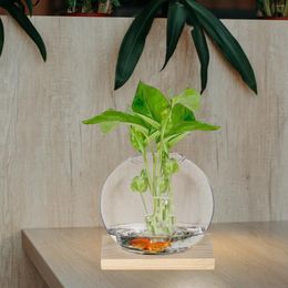 Vases 2 Sets Botanical Glass Vase Flower Indoor For Decor Plant Propagation Terrariums High Borosilicate Office