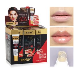 12pcsBox Lip Plumper Oil Gloss Set Instant Volume Makeup Products Wholesale Bulk Cosmetics for Lips Care 240311