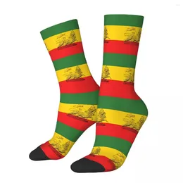 Men's Socks Colours Rasta Lion Of Judah Rastafari Sports 3D Print Boy Girls Mid-calf Sock