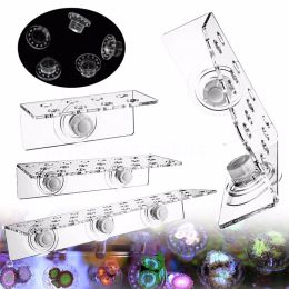 Parts Aquarium Fish Tank Coral Rack Bracket Magnet Acrylic Strong Suction Coral Frag Rack Water Plant Stand Fish Tank Accessories