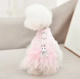 Dog Apparel Cat Dress Tutu Plaid&Bow Pet Puppy Skirt Spring/Summer Clothes 5 Sizes 2 Colour