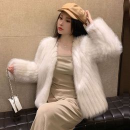 Cappotto corto in pelliccia di procione imitazione Haining da donna autunno/inverno nuovo
