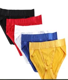 Sexy Mens Bikini Underwear Briefs Gay Sissy Penis Pouch Low Waist Cotton Comfort Slim Men Small Briefs Underwear J1911722056690