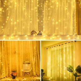 Strings Flexible Wire Curtain Lights Remote Controlled Fairy Led For Bedroom Weddings