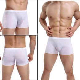 Underpants Sexy Mens Ice Silk Seamless Big Pouch Boxers Briefs SeeThrough Panties Ultra-Thin Underwear Trunks Breathable Flat