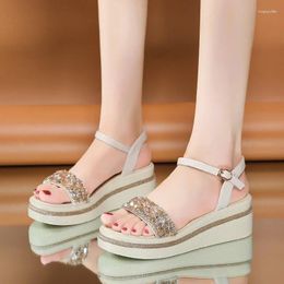 Dress Shoes 2024 Sexy Roman Open Toe Thick Sole Wedge Women's Sandals Summer Fashion Casual Elegant High Heels NO:8005