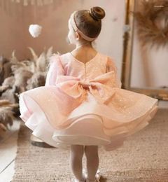 Girl Dresses Handmade Baby Clothes Half Sleeve Birthday Party For Girls Ball Gown Toddler Tutu Dress