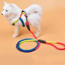 Dog Collars Walking Leash High-quality Materials Colorful Design Durable Good For And Training Comfortable To Use