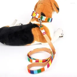 Dog Collars Pet Supplies Durable Padded Leash For Small Medium Big Personalised Colour Stripe Canvas Plus Leather Lead Training