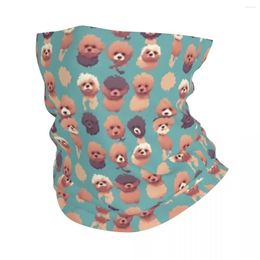 Scarves Poodle Animal Bandana Neck Cover Printed Wrap Dog Lover Scarf Multifunction Headband Hiking Fishing Unisex Adult Washable