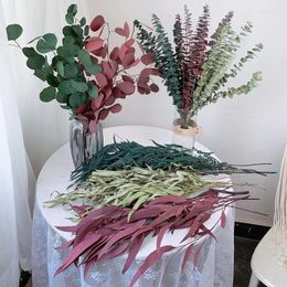 Decorative Flowers 20/80g Natural Preserved Eucalyptus Leaves Bouquet Eternal Display Dry Flower Apple Wedding Home Decoration Pography