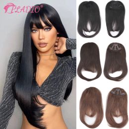 Bangs Straight Human Hair Bangs Clip in Hair Extensions 100% Remy Hair Clip On Bangs Fringe 3 Clips Hair Pieces for Women 7 Colours 20G