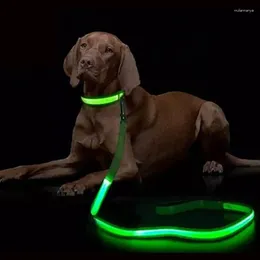 Dog Collars LED Light Up Leash Luminous Rope Lead For Safety Flashing Glowing Collar Harness Electronic Pet Accessories