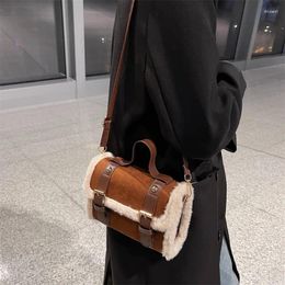 Bag Winter Women Crossbody Shoulder 2024 Lamb Plush Velvet Lady Small Square Handbag French Korea Style