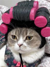 Funny Cat Hat Cute Refined Pet Hat Puppy Kittens Cool hat Party Po Shoot Props Decoration Cat Accessories Cat fun decoration 240309