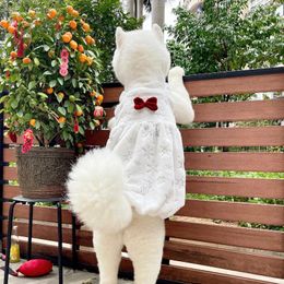 Dog Apparel Christmas Dress Winter Pet Clothes Coat Outfit Small Costume Puppy Yorkie Pomeranian Shih Tzu Maltese Poodle Clothing