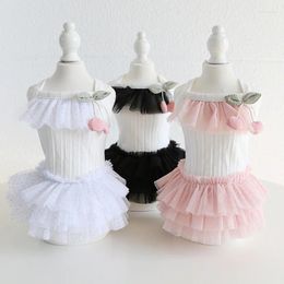 Dog Apparel Sweet Clothes Dress Cat Puppy Small Skirt Tutu Chihuahua Yorkies Pomeranian Shih Tzu Maltese Poodle Pet Clothing