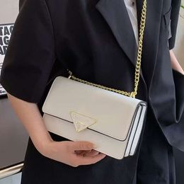 Bucket Bag Designer Hot Brand Women's Fashion Light Luxury Square Womens Shoulder Chain Celebrity Handbag